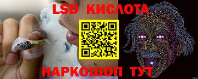 a pvp Краснодар
