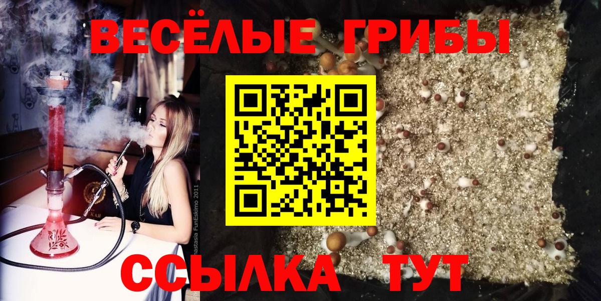 Галлюциногенные грибы GOLDEN TEACHER Гуково