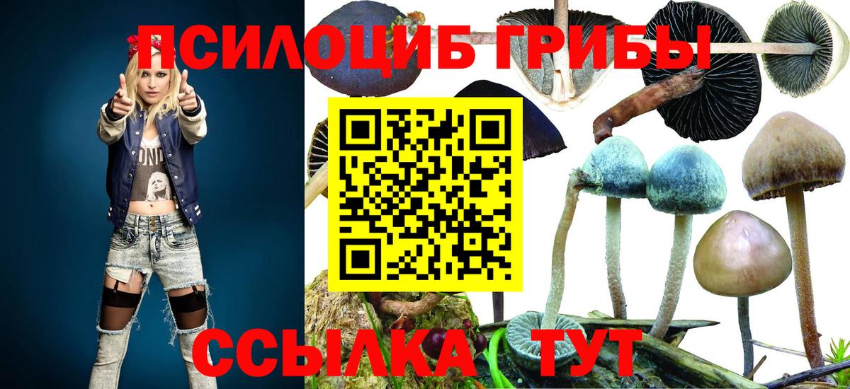 Галлюциногенные грибы GOLDEN TEACHER  Галлюциногенные грибы Magic Shrooms  Вход с VPN  Гуково 